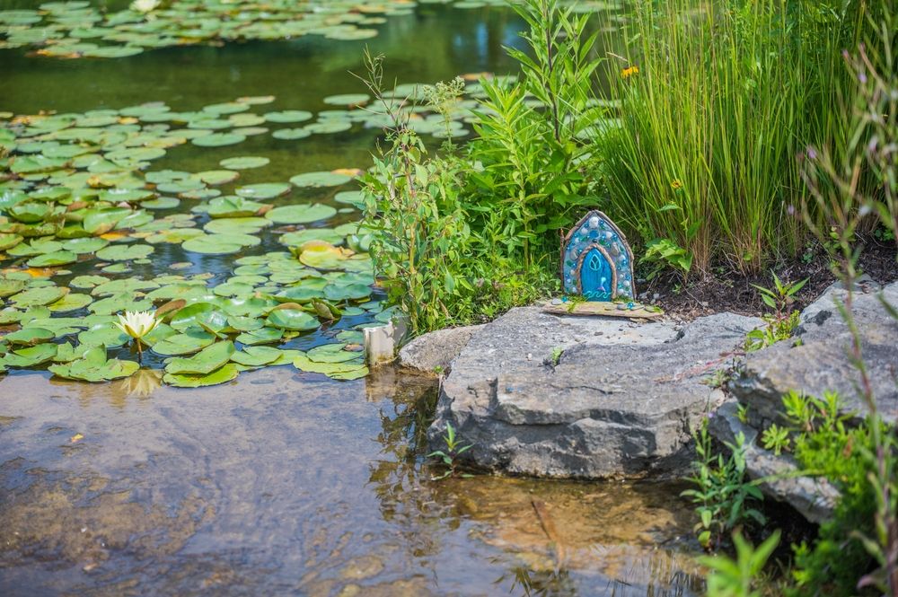 A pond at the Holden Arboretum