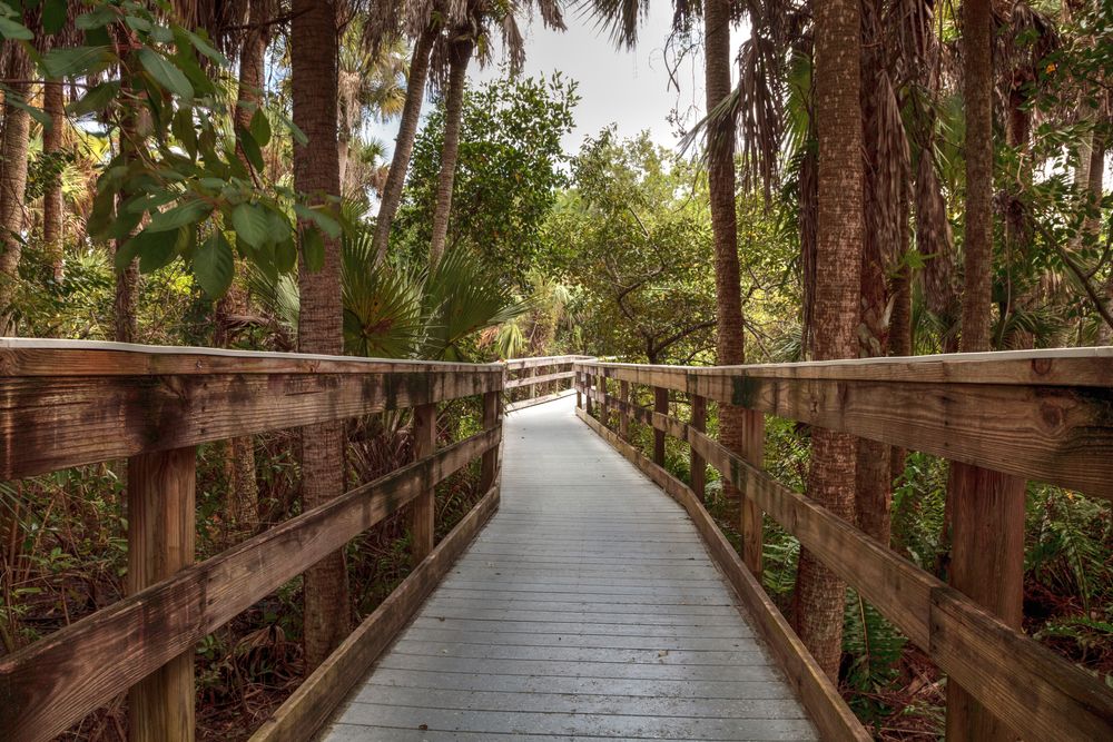 Boardwalk at Manatee Park