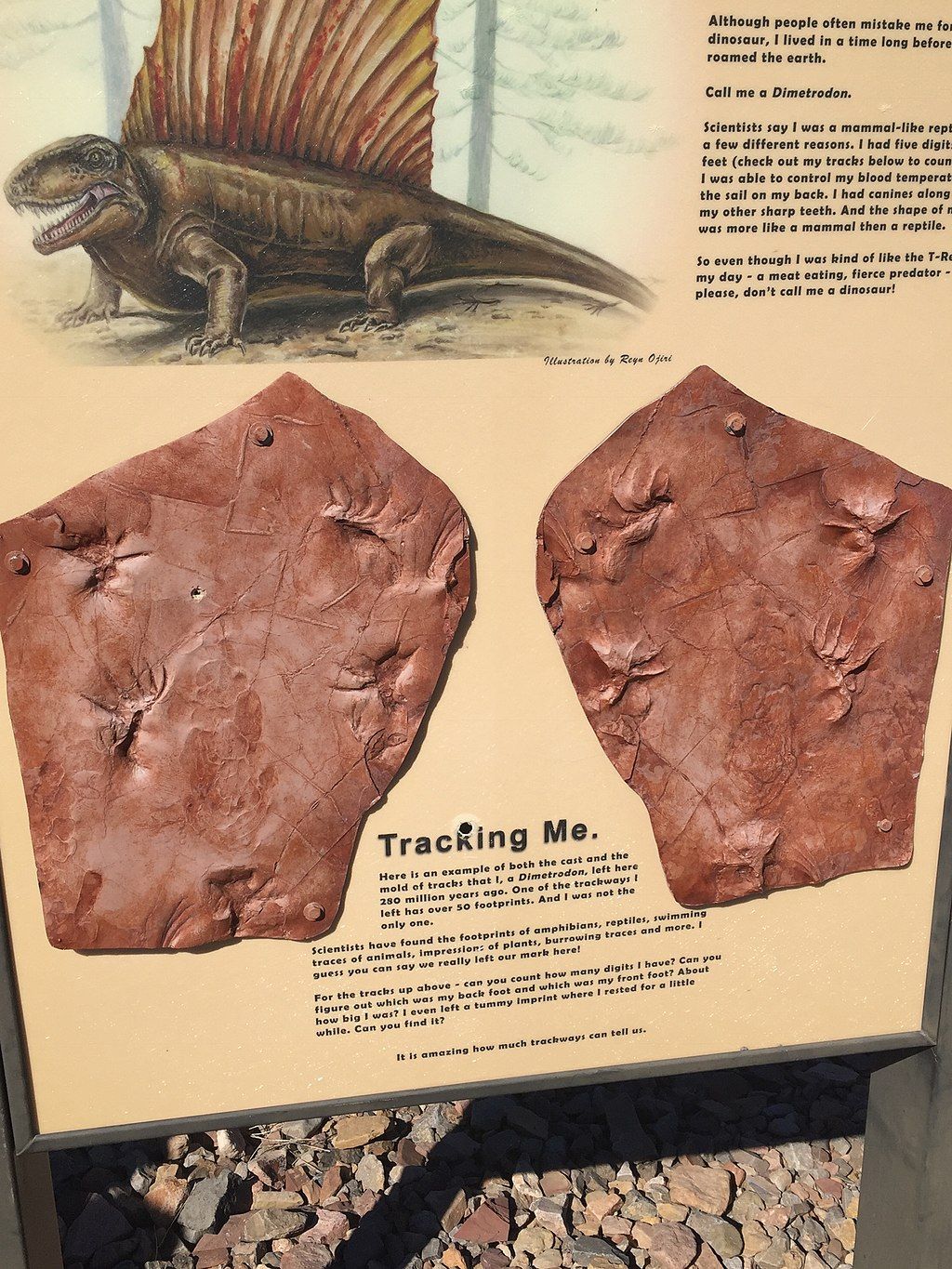 Signage at Prehistoric Trackways National Monument