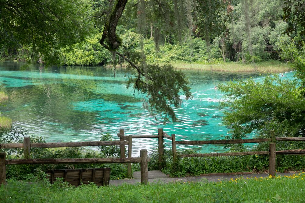 The waters of Rainbow Springs State Park
