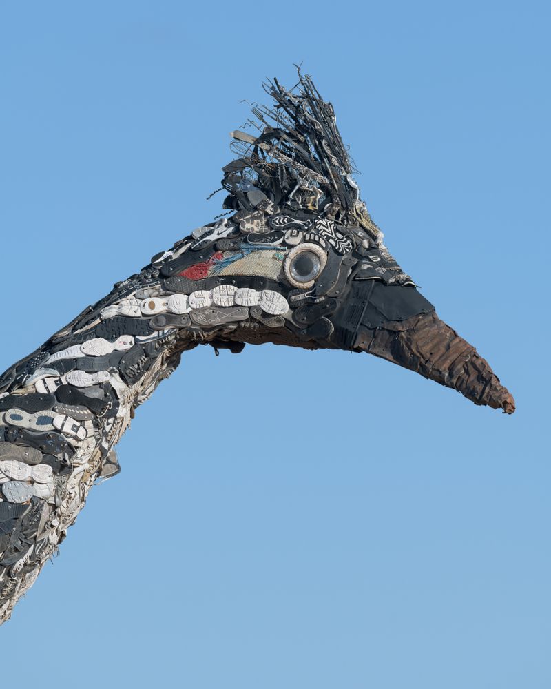 Head of the Recycled Roadrunner Sculpture
