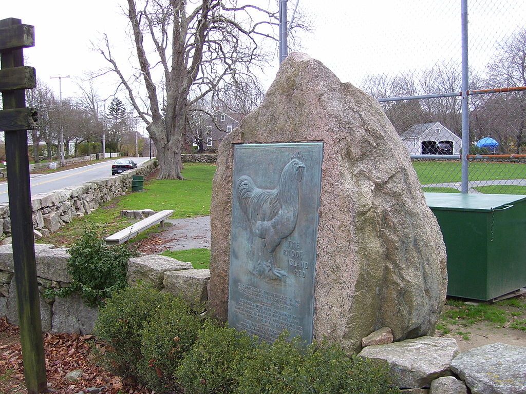 Side view of the Rhode Island Red Monument