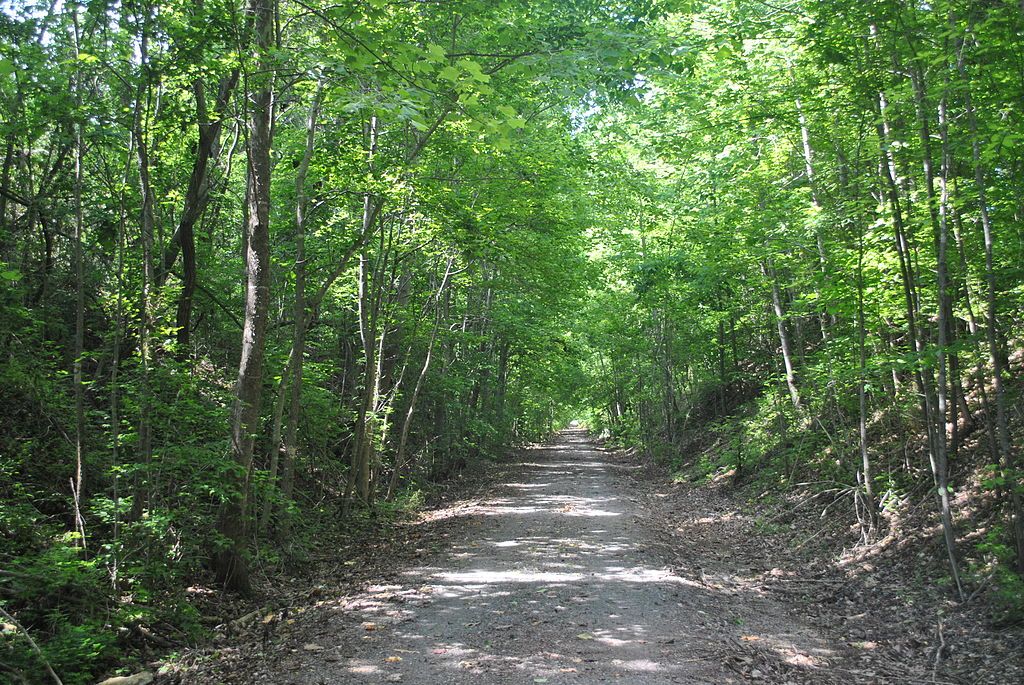 A trail at Sulfur Creek Trestle