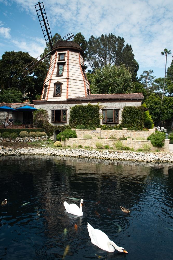 The waters of Lake Shrine Meditation Gardens