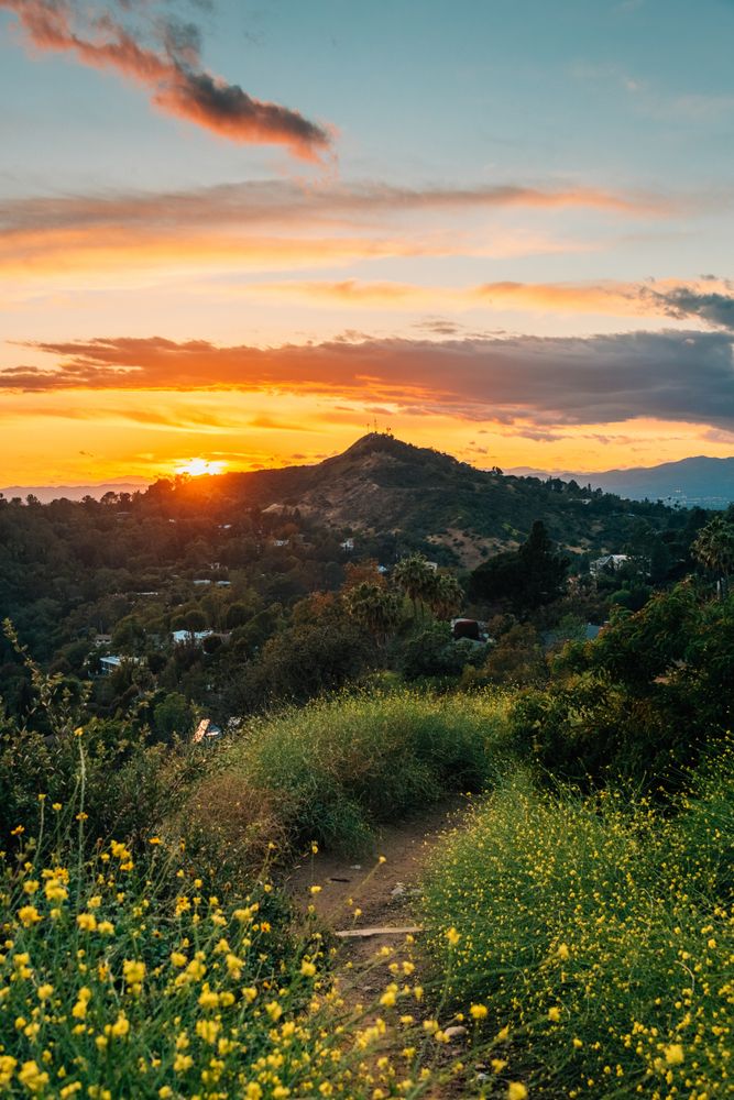 Scenic sunset at Runyon Canyon Park
