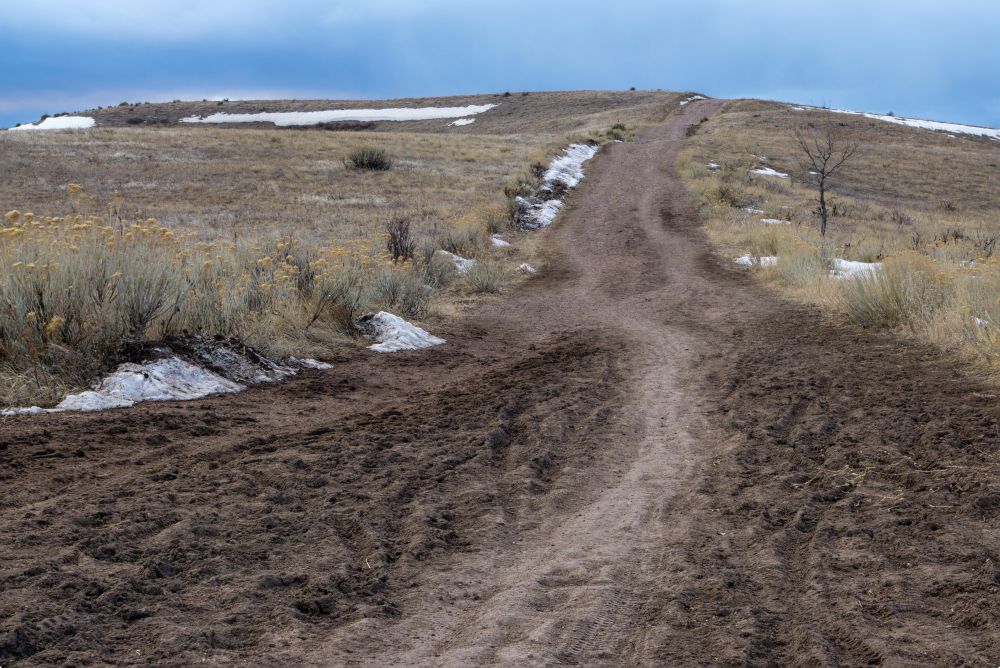 Hiking trail at William F. Hayden Park