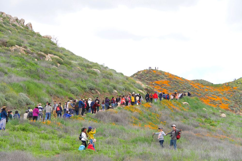 People admiring the view at Walker Canyon Trail
