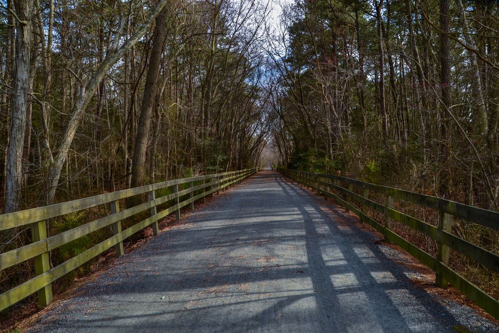 Stone path bridge in Cape Henlopen State Park