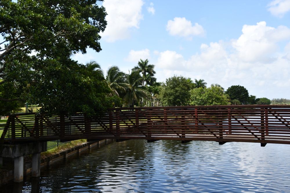 Bridge over the pond of Ilene Lieberman Botanical Garden