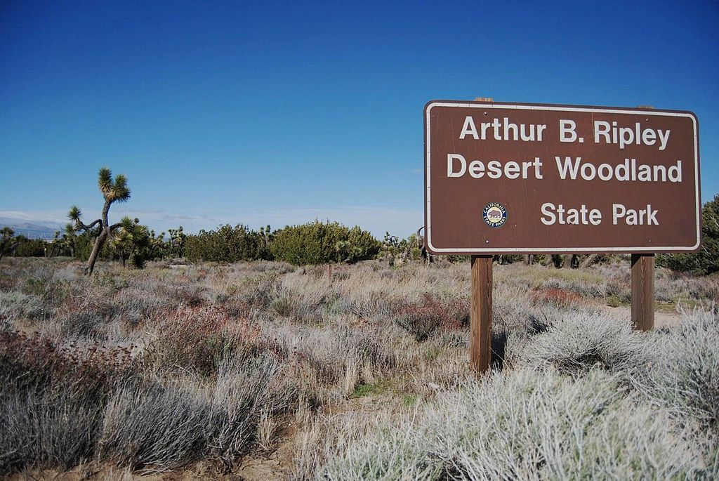 Welcome sign of Arthur B. Ripley Desert Woodland State Park
