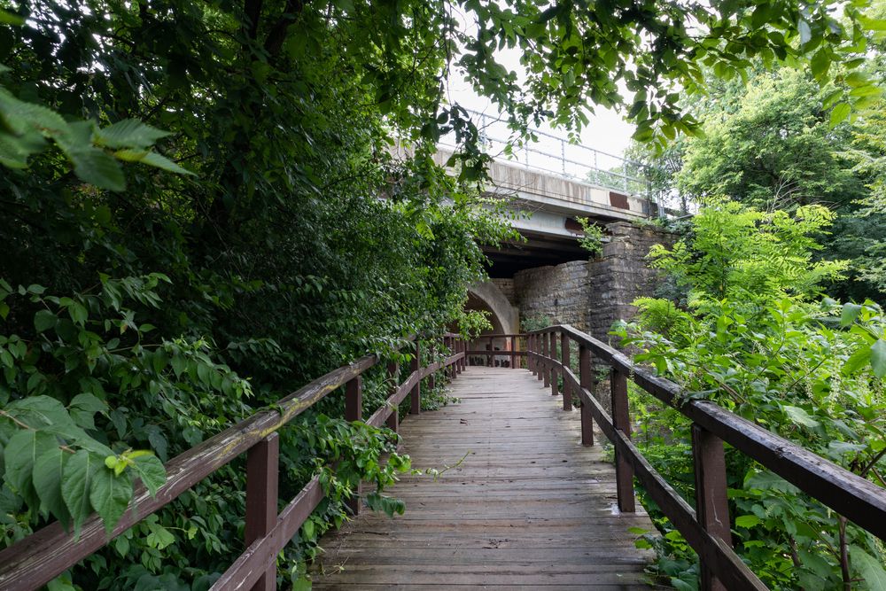 Wooden walkway at Dellwood Park