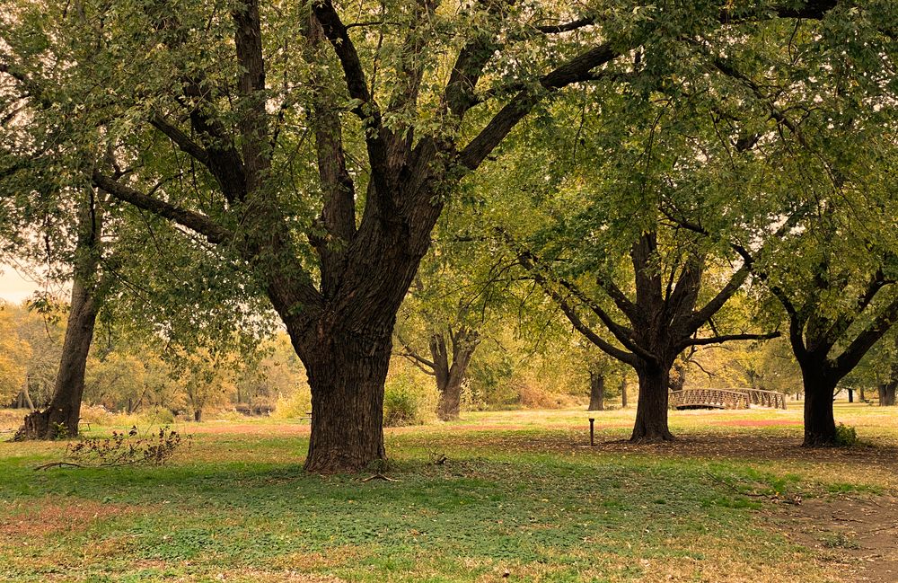 The grounds of Starved Rock State Park