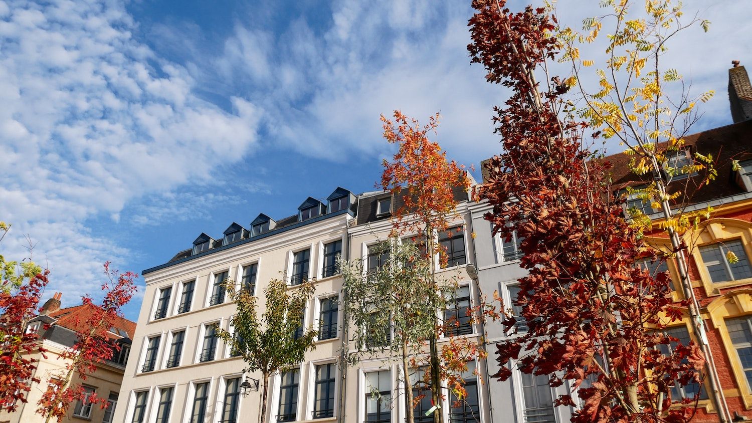 15 Best Things to Do in Lille, France