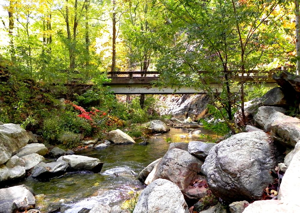 View of a Bridge at Linville Caverns