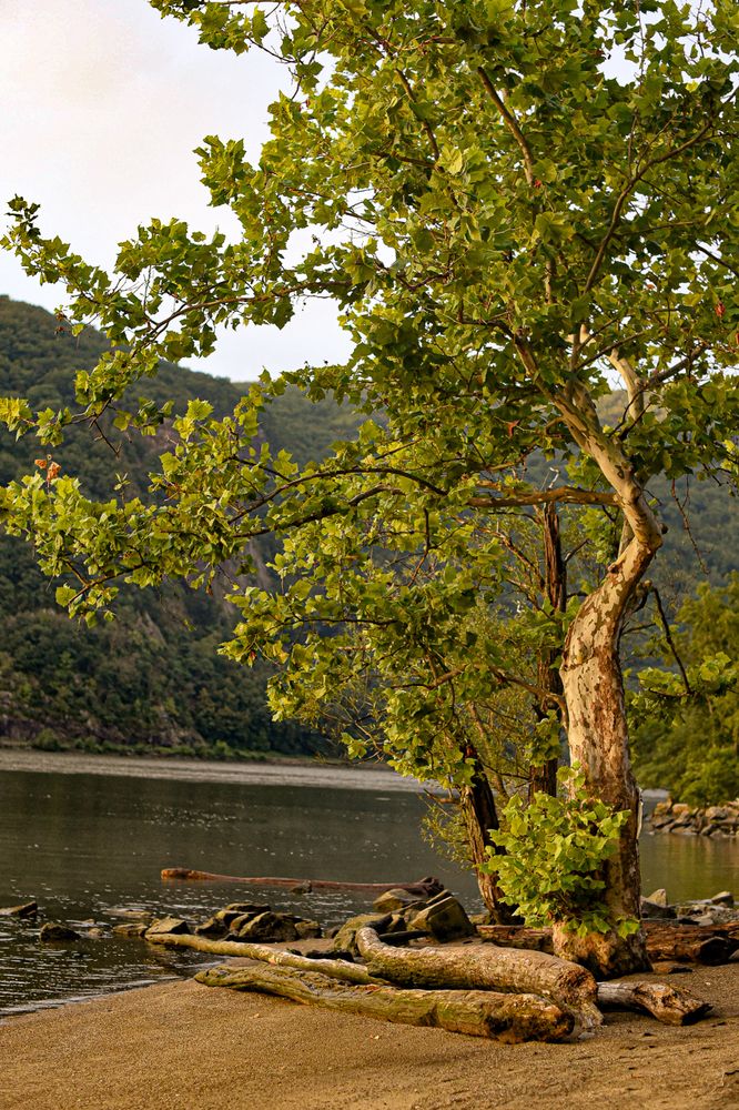 River in Little Stony Point in New York.