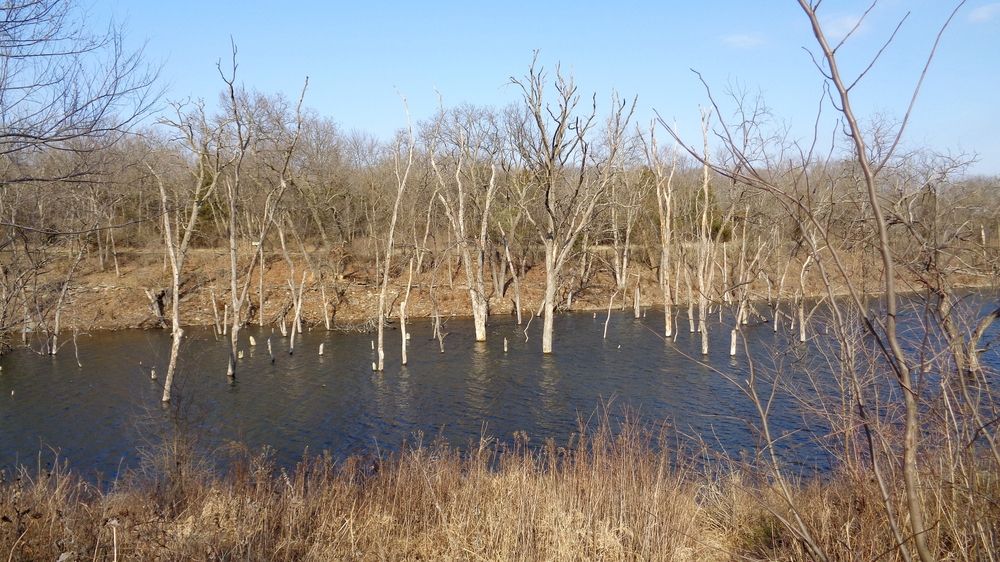 A manmade lake at Black Hoof Park