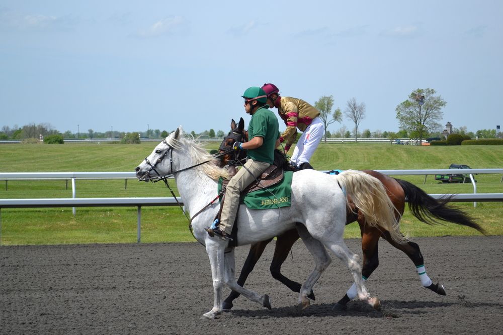 Horses at Keeneland Race Course