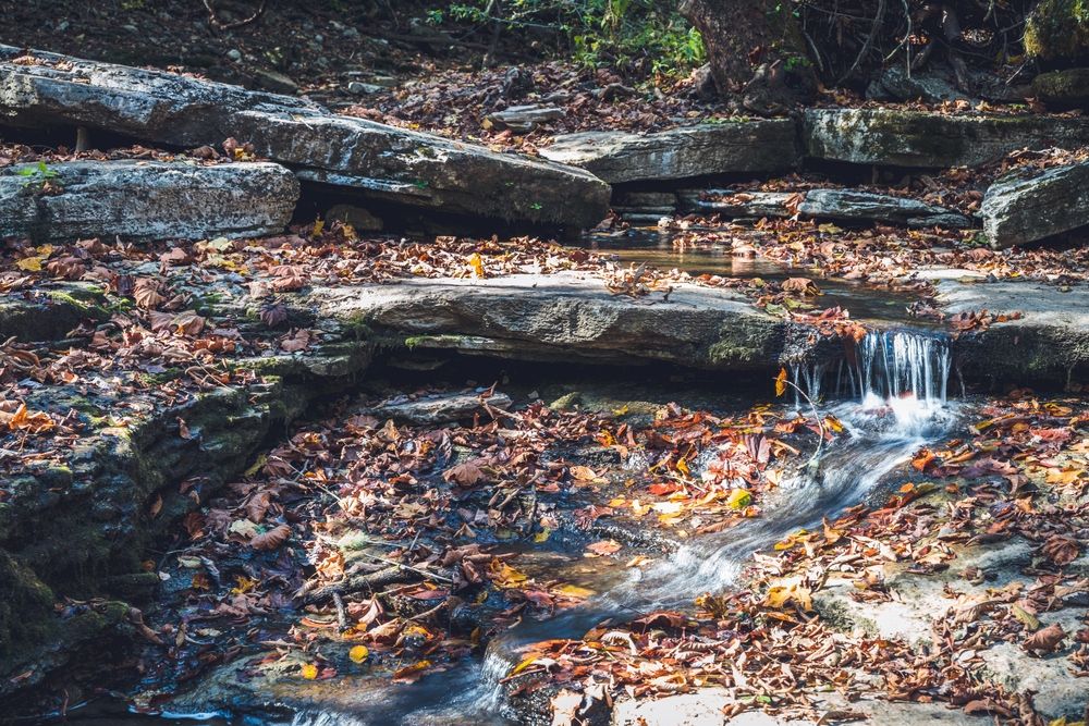 Small waterfall at Raven Run Nature Sanctuary