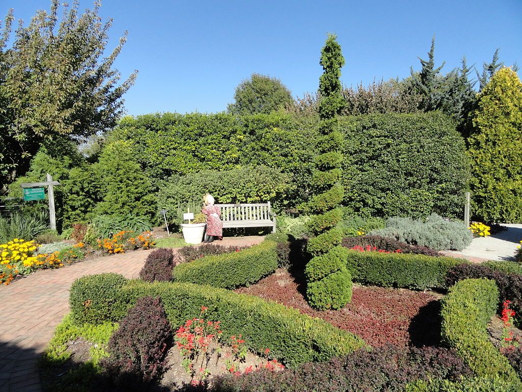 Wooden bench surrounded with plants at University of Kentucky Arboretum