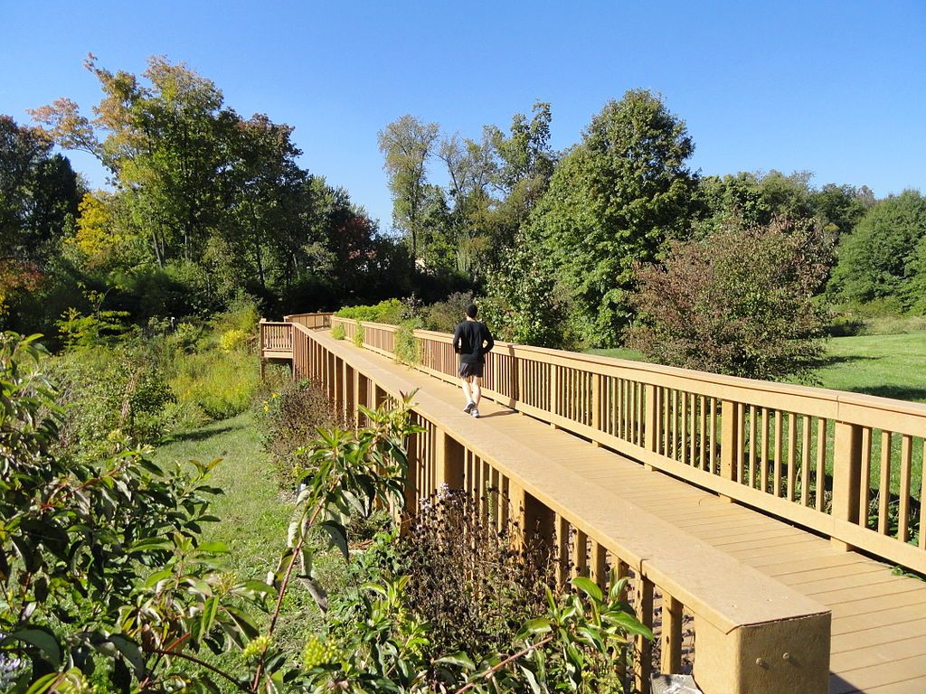 Boardwalk trail at University of Kentucky Arboretum