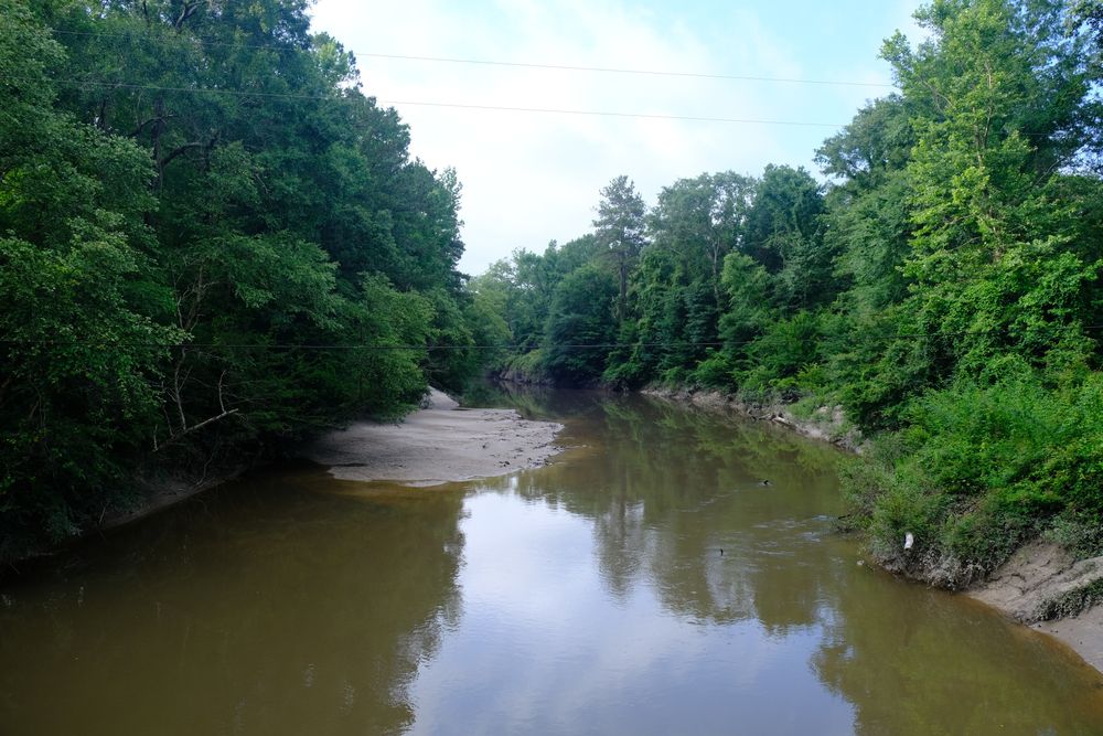 A river at Kisatchie National Forest