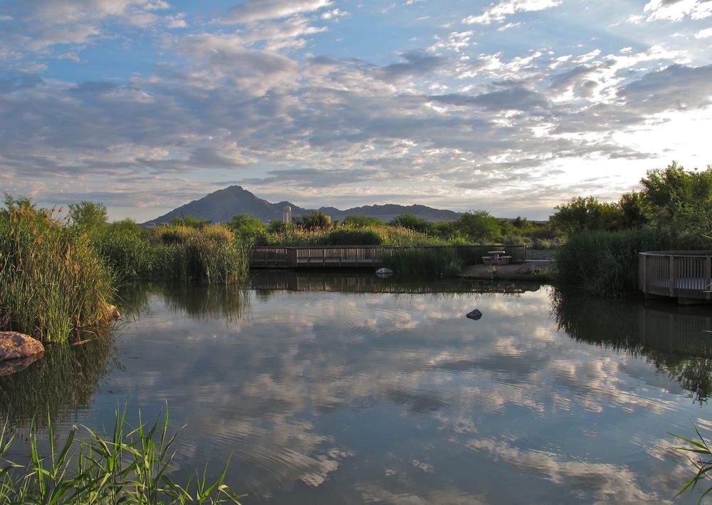 The waters of Clark County Wetlands Park