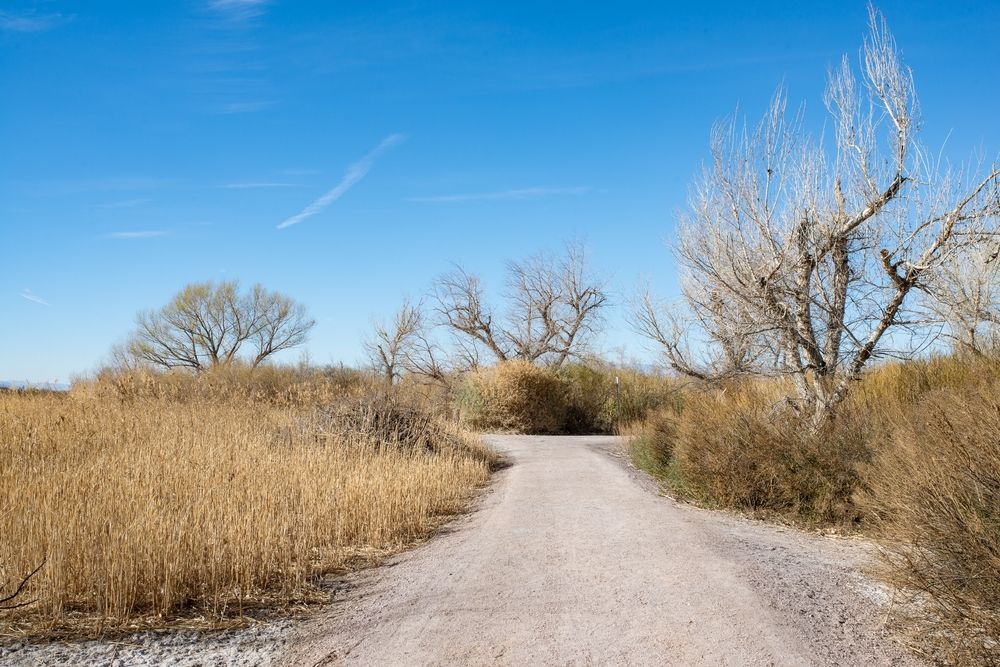 Trail at Clark County Wetlands Park