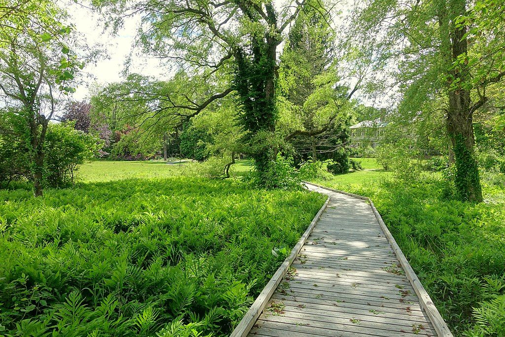 Boardwalk at Doyle Community Park