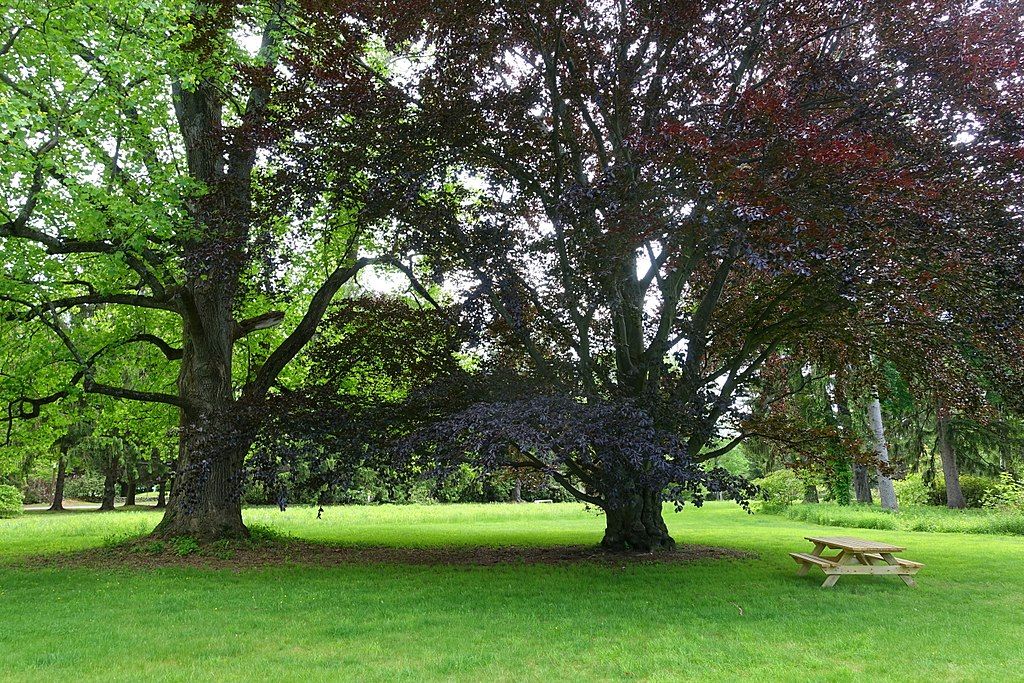 The grounds of Doyle Community Park