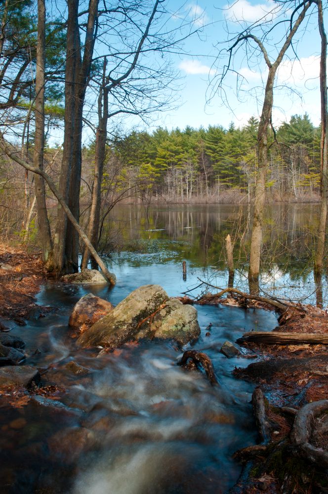 The waters of Harold Parker State Forest