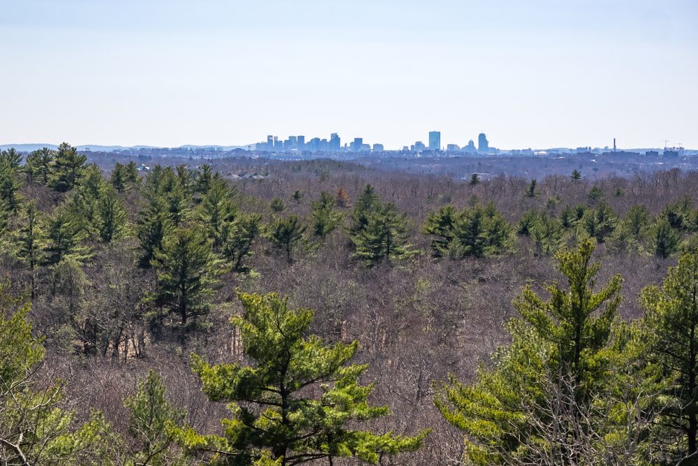 View of Boston skyline at Lynn Woods Reservation