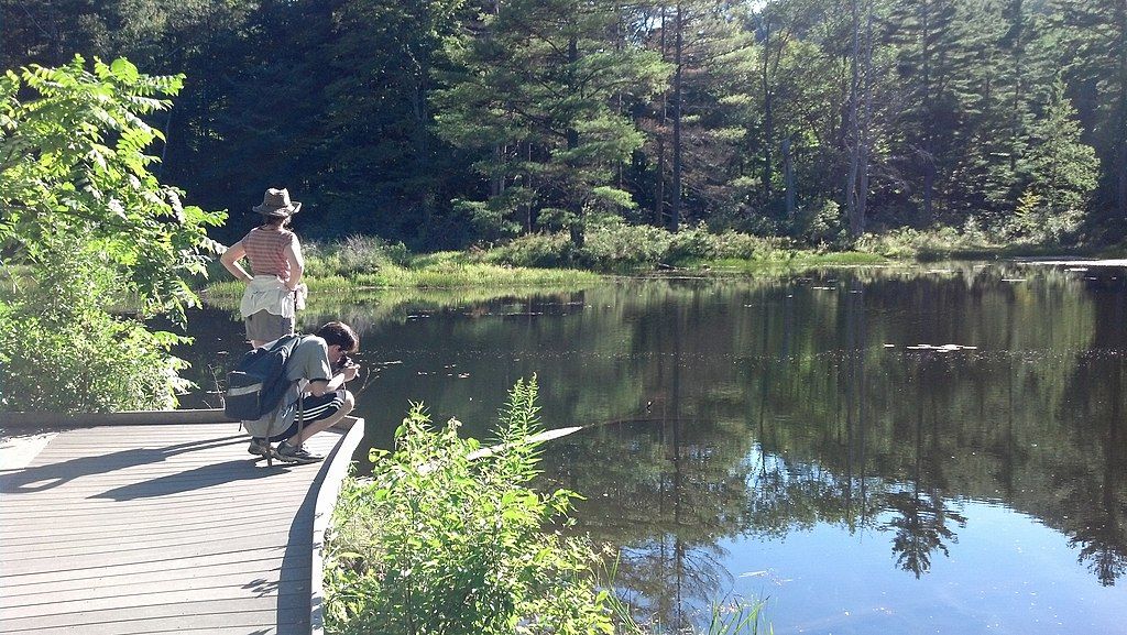 Boardwalk beside Pleasant Valley Sanctuary's pond