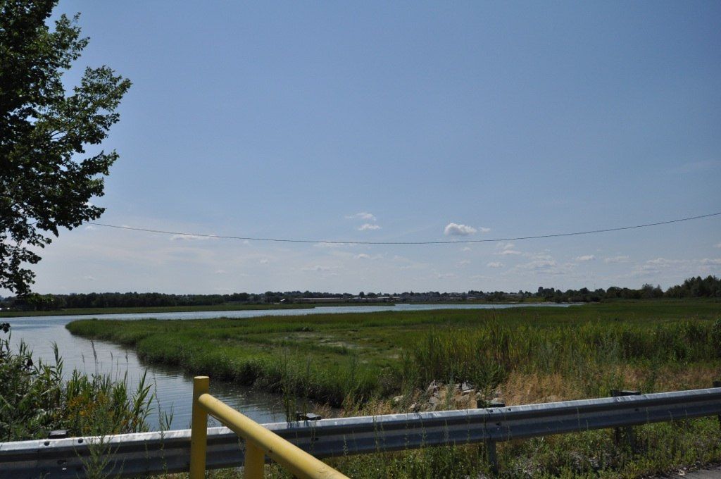 Daytime view of Rumney Marsh Reservation