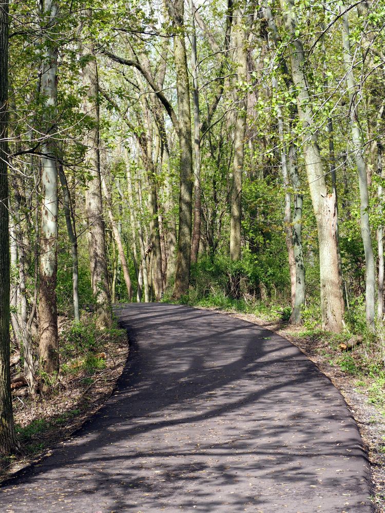 Paved part of the Lansing River Trail