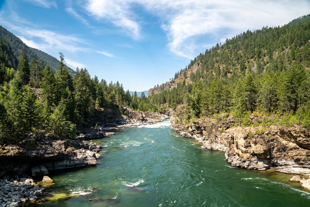 The river of Kootenai National Forest