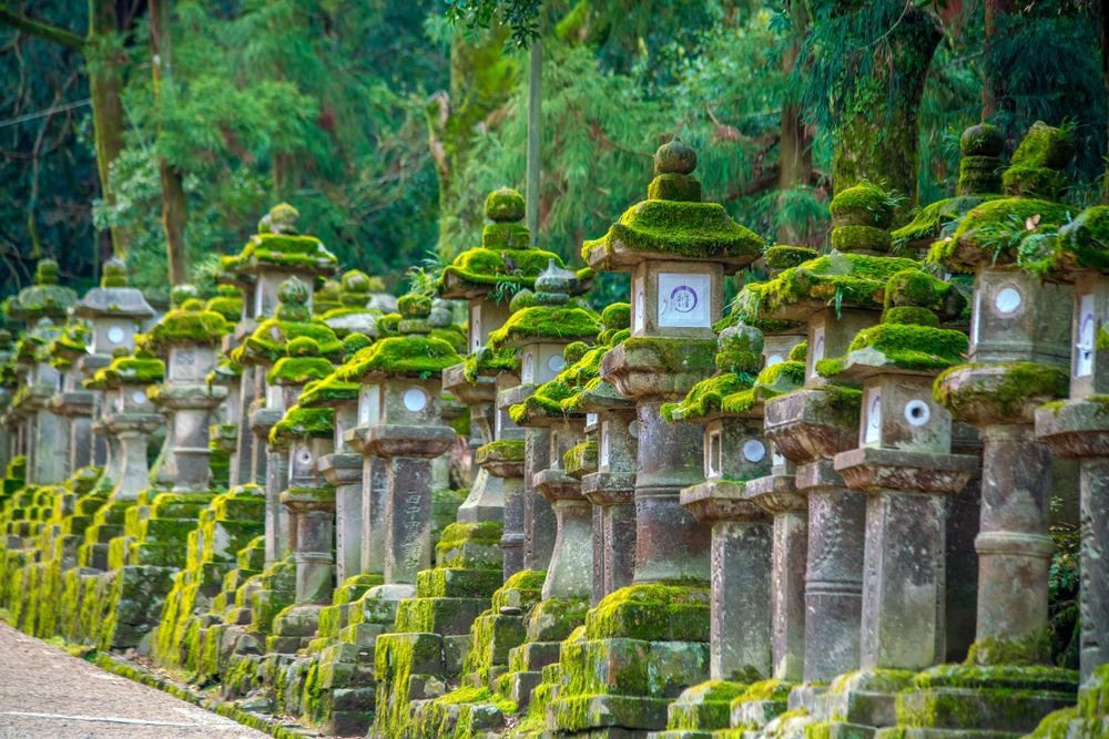 Stone Lanterns in Kasuga Taisha