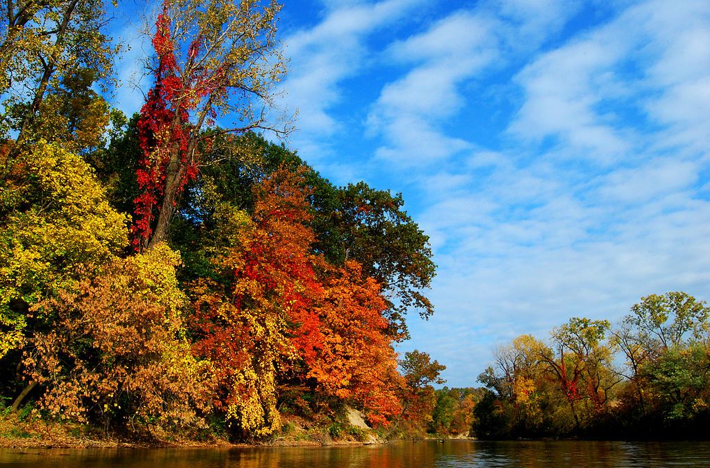 Colorful trees surrounding Black River