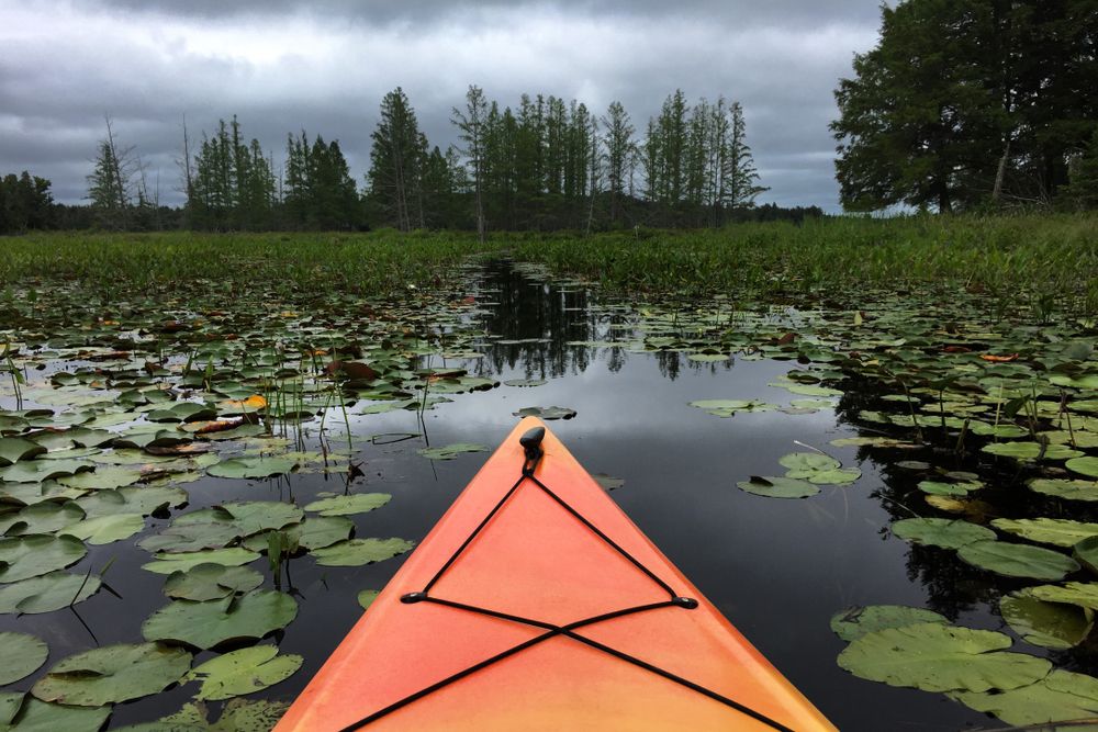 Kayaking on Wisconsin River