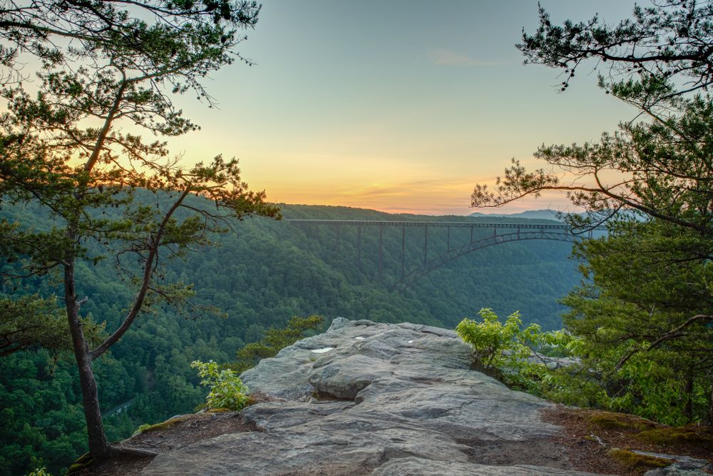 View of  Long Point Trail