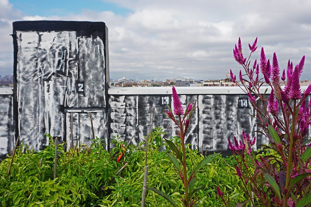 Closer view of the rooftop of brooklyn grange.