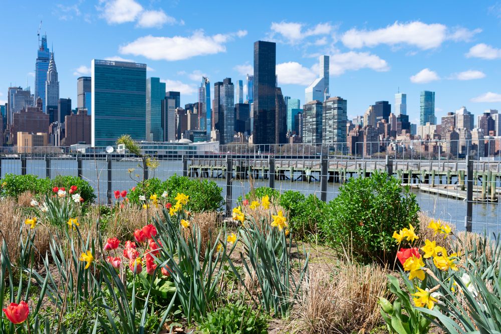 Colorful flowers at gantry plaza.