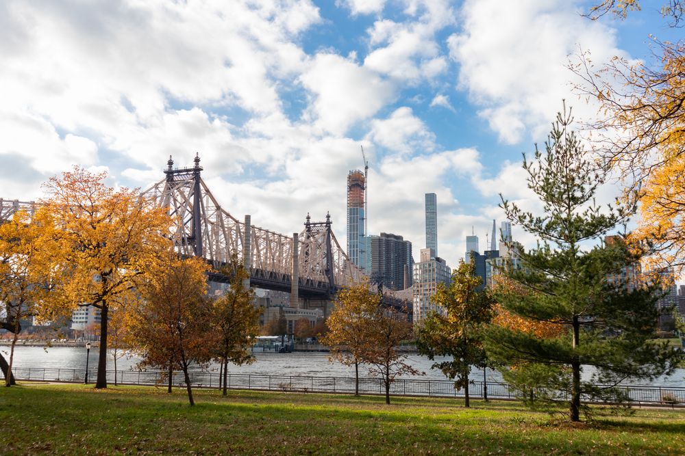 Fall colored trees at queensbridge park.