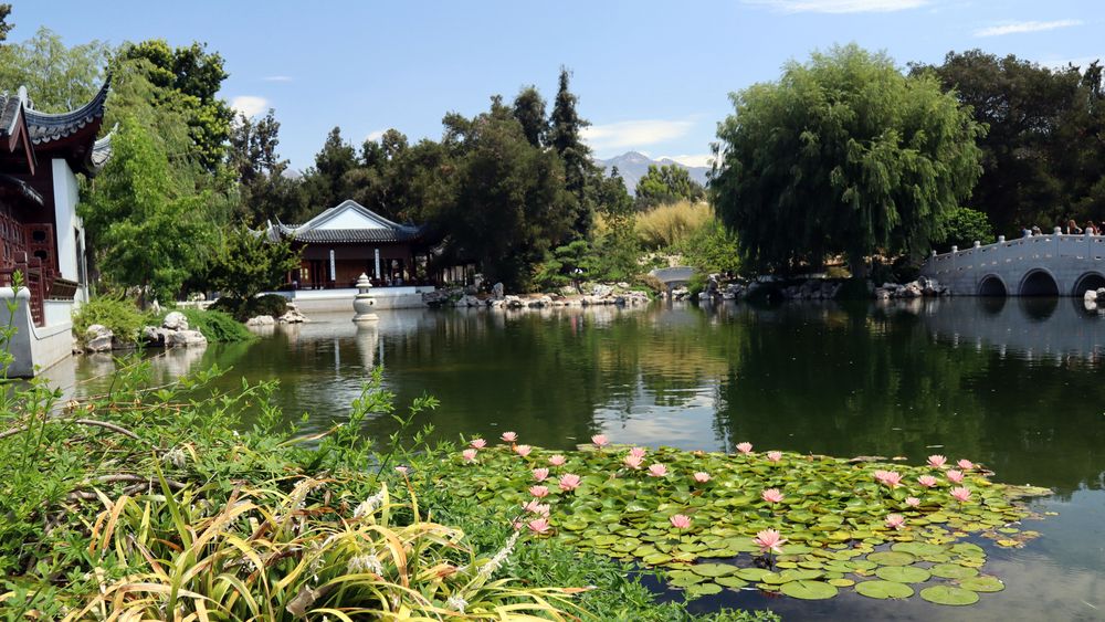 View of Los Angeles County Arboretum and Botanical Garden