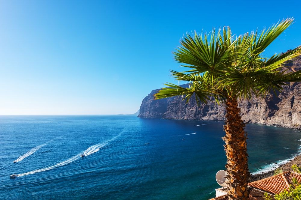 View of Los Gigantes Cliffs