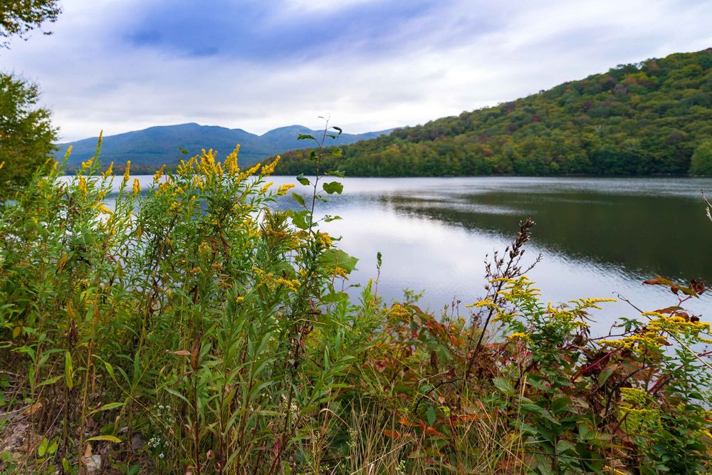 View of Green Mountain National Forest