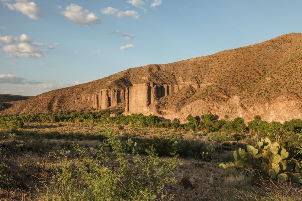 View of Gila Box Riparian National Conservation Area