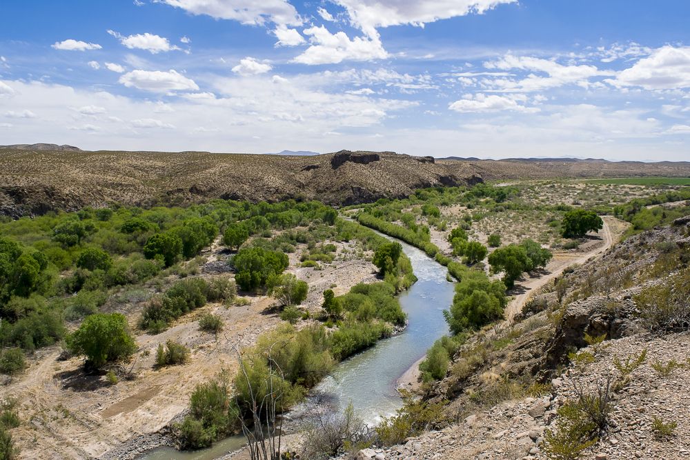 View of Gila Box Riparian National Conservation Area