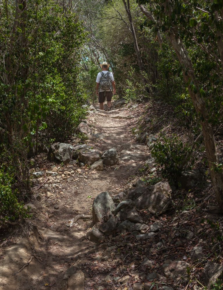 Lind Point Trail, through Virgin Islands National Park