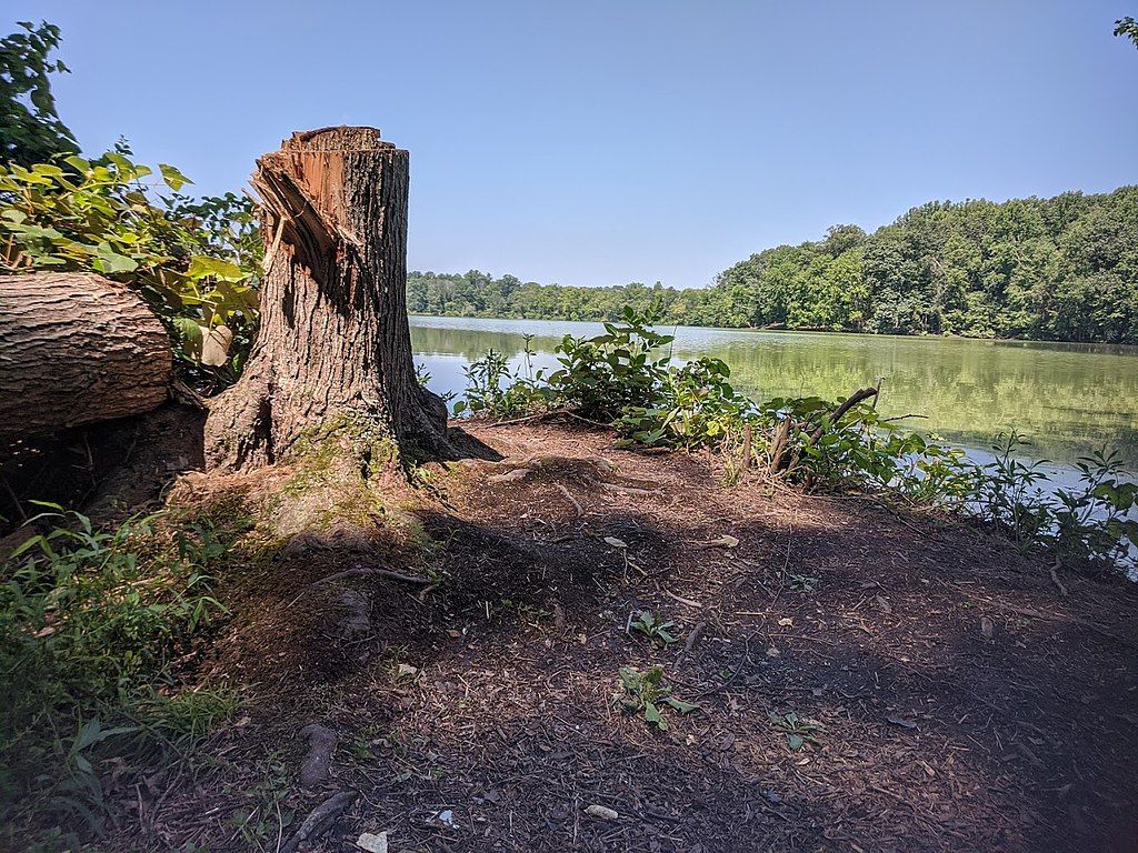 View of Churchville Nature Center's reservoir