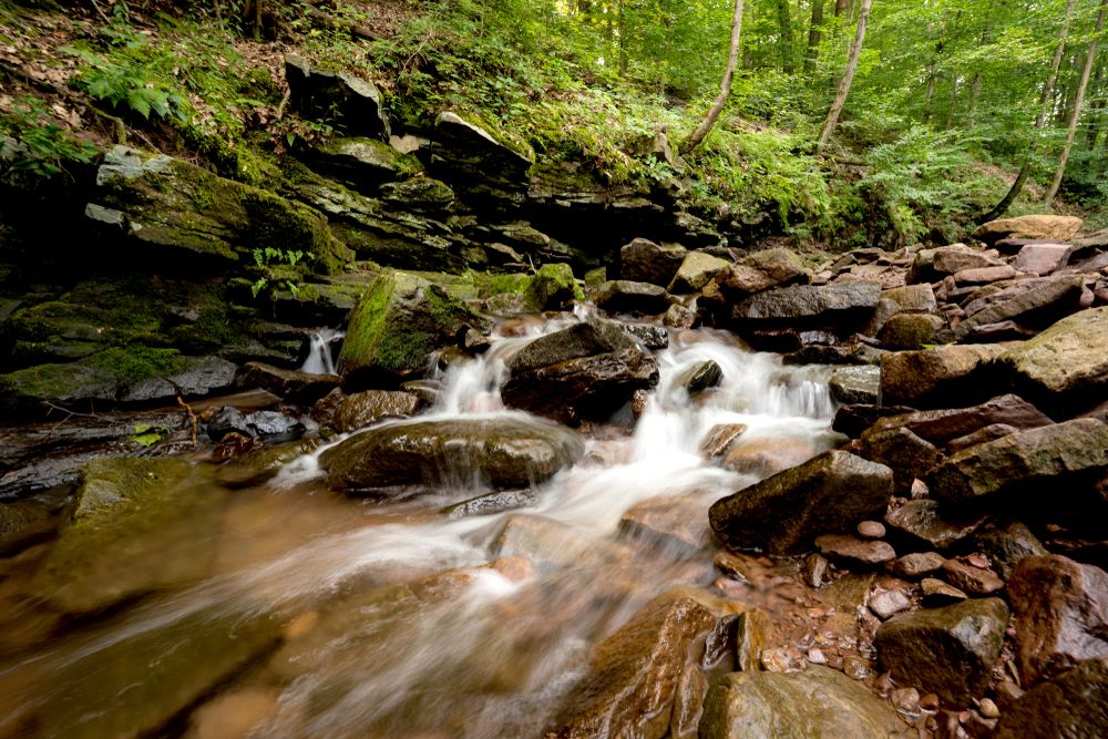 A creek at Tyler State Park